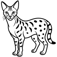 White Line Serval Design