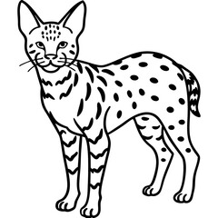 White Line Serval Design