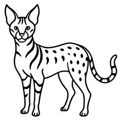 White Line Serval Design