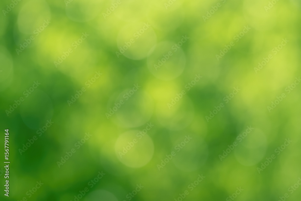 Aufkleber Abstract scenic backdrop featuring soft-focused greenery and bokeh effects for artistic projects