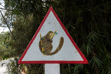 panneau routier, passage de lémurien, Madagascar