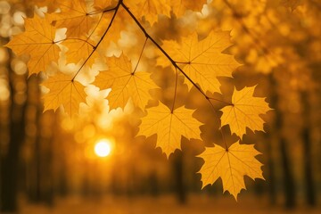 Obraz premium Golden autumn scene featuring vibrant yellow foliage and sunset glow in a park setting