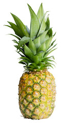 Fototapeta premium Single ripe whole fruit pineapple isolated clipping path on white background.