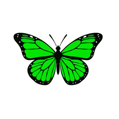 Minimalist Green Butterfly Logo, Front View, Thick Black Outlines, Solid Green Fill