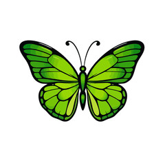 Vintage Green Butterfly Logo, Symmetrical Design With Curved Lines