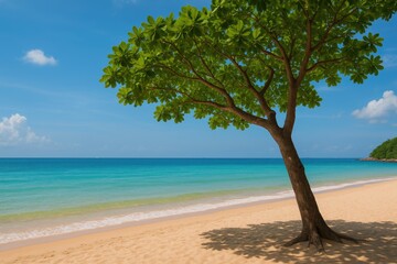 Tree located at Tien Beach in Pattaya