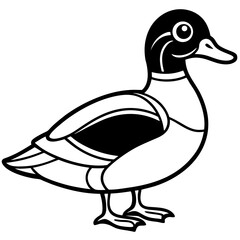 Wood Duck Linear Wildlife Sketch