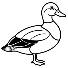 Wood Duck Linear Wildlife Sketch