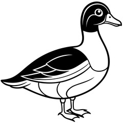 Wood Duck Linear Wildlife Sketch