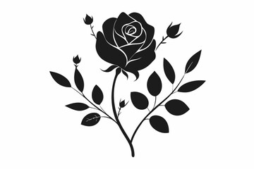 Black rose will have flowers and leaves and branches in white background
