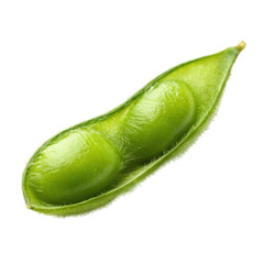 Green Edamame bean on transparent 