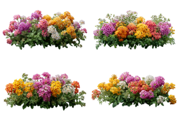 色とりどりの花が咲き揃う華やかな寄せ植え_背景透過_切り抜き