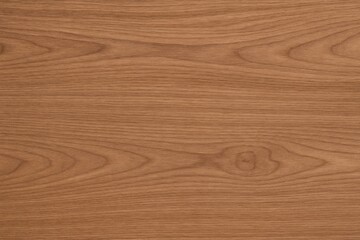 Fototapeta premium Woodland-themed background design