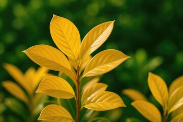 Obraz premium A stunning image capturing the bright colors of a bunch of golden foliage illuminated by sunlight, emphasizing their shiny texture and detailed vein patterns.