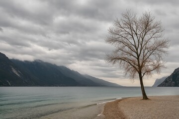 Overcast skies over a serene lake scene