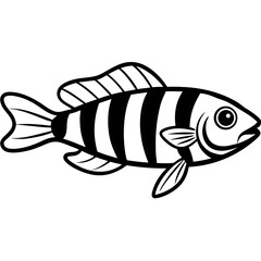 Zebrafish Outline Illustration in Vector Style