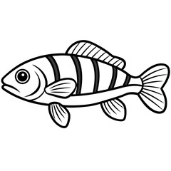 Zebrafish Outline Illustration in Vector Style