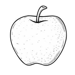 vector sketch illustration of an apple