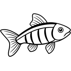 Zebrafish Outline Illustration in Vector Style
