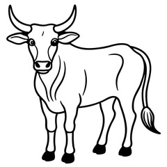 Zebu Silhouette Vector Drawing