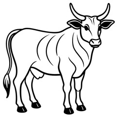Zebu Silhouette Vector Drawing