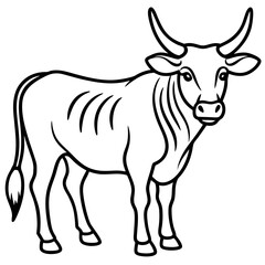 Zebu Silhouette Vector Drawing