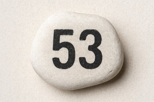 A Numerical Marker Embedded in a White Pebble