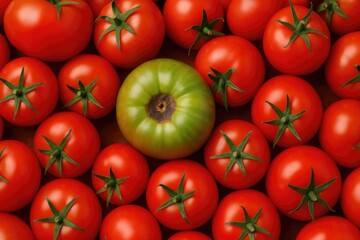 Background featuring ripe tomatoes with decayed green ones during autumn harvest, emphasizing healthy organic produce.