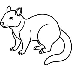 Zorilla Sketch Style Vector Icon