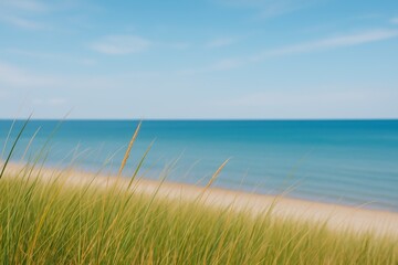 A coastal landscape featuring beach grasses with a view of the bay