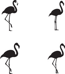 Obraz premium Greater Flamingo Silhouettes