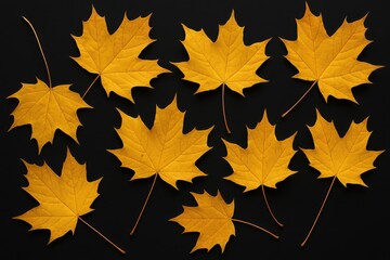 Falling autumn foliage against a dark backdrop