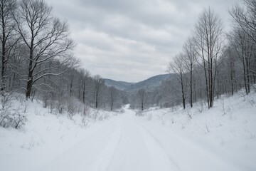 A peaceful winter landscape with a snowy trail weaving through leafless trees and gentle hills beneath a gray, chilly sky.
