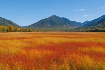 Fototapeta premium Vivid Tussocks in a Wetland Ecosystem