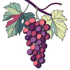 Lush Grapes: A Colorful Illustration of Nature’s Juiciest Bunch.