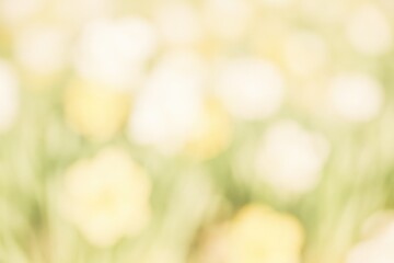 Blurred abstract scene with synthetic elements in the background