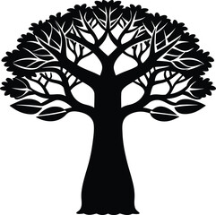 Obraz premium baobab tree on white background.eps