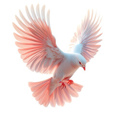 Obraz premium Dove of Peace Rose Light Graceful Flight Bird Purity Symbol Hope on transparent background