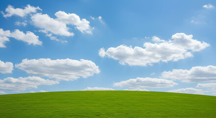 Obraz premium green field and blue sky