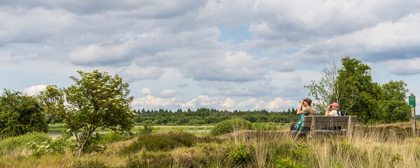 Two senior bird watchers on a bench at nature reserve Hijkerveld in Drenthe The Netherlands
