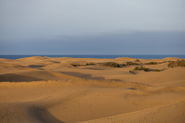 Sand dunes in the Maspalomas area of ​​Gran Canaria Spain
