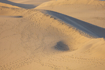 Sand dunes in the Maspalomas area of ​​Gran Canaria Spain