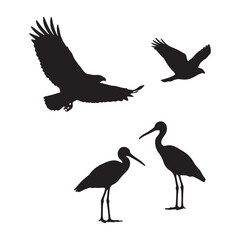 Obraz premium Black Silhouettes of Birds in Flight and Standing Two Ibises an Eagle and a Hawk Avian Wildlife Graphic Element