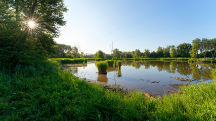 Etang Fleuri in the marshes of the lower valleys of the Juine and the Essonne river. Vert-le- Petit village 