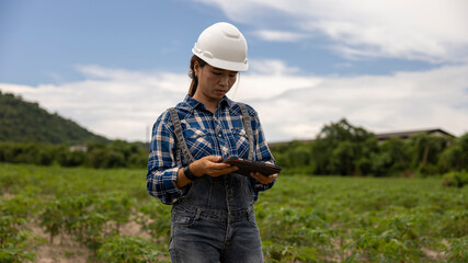 Young Woman Monitors Crops Using a Tablet in Field