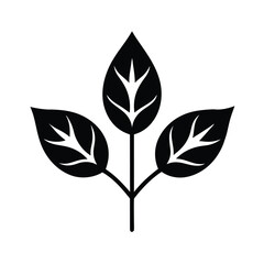 Simple Leaf Cluster Three Leaves Stem Connection Icon Vector Illustration