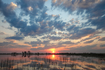 abends auf dem okavango