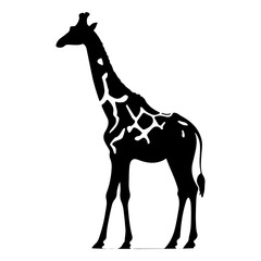 Silhouette of a Tall Giraffe Standing Calmly on a White Background