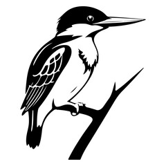 Belted Kingfisher Bird Silhouette Illustration on a Branch with a Bold Design