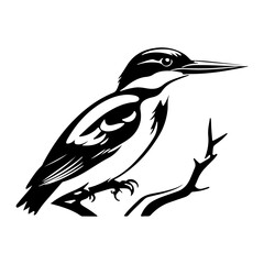 Striking Black and White Illustration of a Kingfisher Perched on a Branch